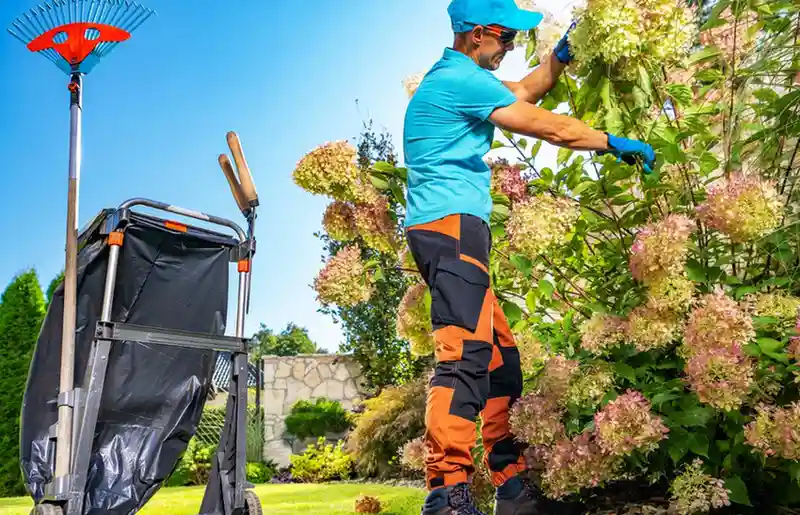 spring cleaning services adelaide